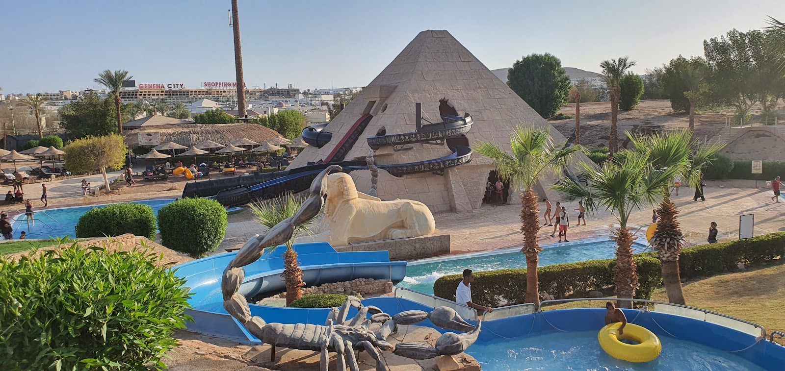 جاز شرم دريمز